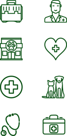 iconos-web-ng-veterinaris iconos-web-ng-veterinaris