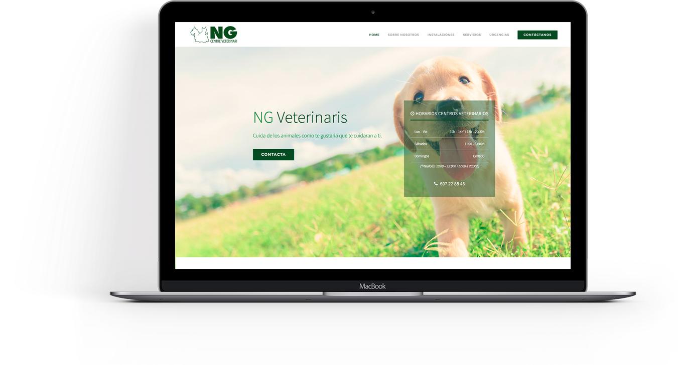 pc-img-destacada proyectos-ng-veterinaris-definitivo pc-img-destacada proyectos-ng-veterinaris-definitivo