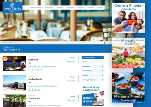 Visit Pineda Diseño Web