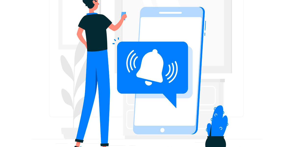 notificaciones productos nuevos