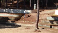 Amics del Parc Dalmau