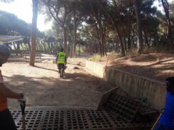 Amics del Parc Dalmau