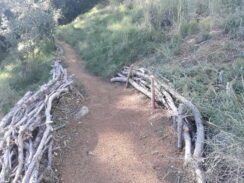 Amics del Parc Dalmau