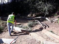 Amics del Parc Dalmau